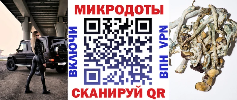 omg ссылка  Кизел  Галлюциногенные грибы мицелий 